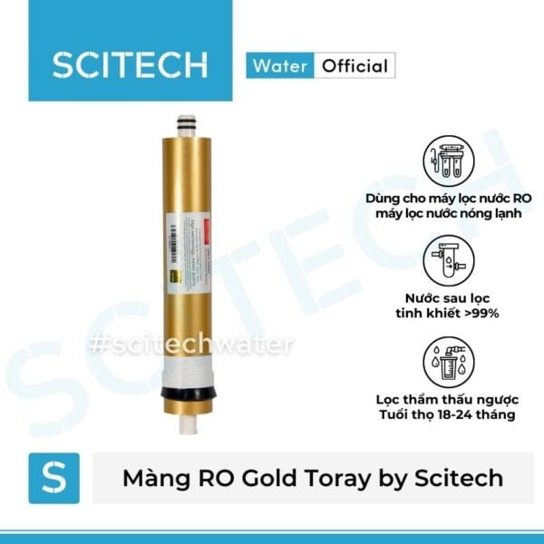 mang ro gold toray
