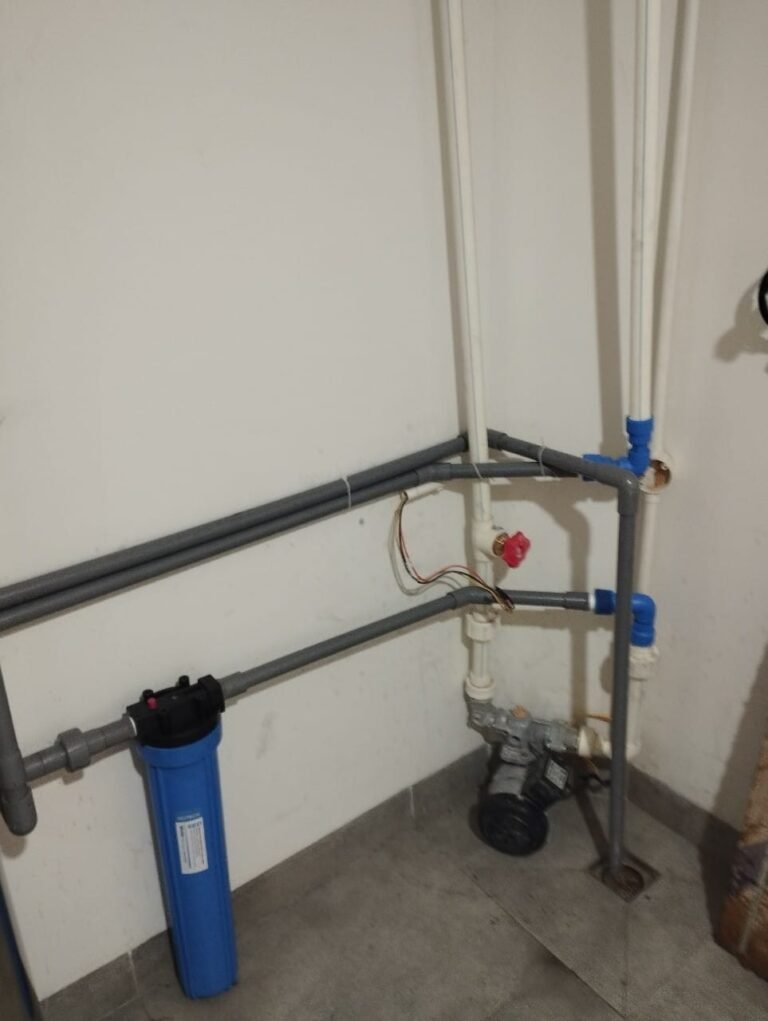 hinh thuc te bo don 20 inch